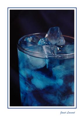 u42/aquaholic2/medium/40630667.DSC_2729E.jpg