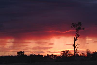 sunset moggill 5.37 copy.jpg