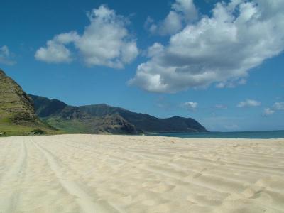 Luminous Sandy Beach