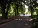 walking through the gardens