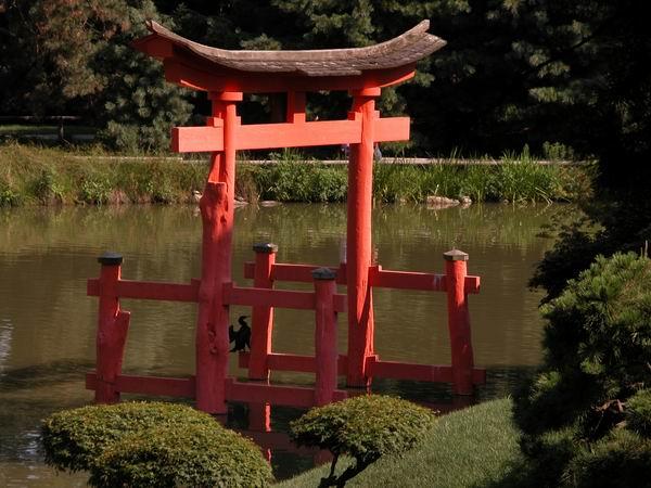 Japanese gardens 1