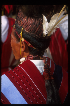 Hair piece.jpg