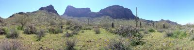 Picacho Peak