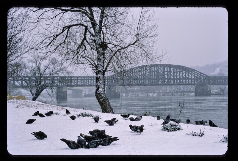 Winterise