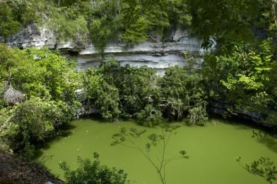 Entrance to the Underworld - The Sacred Cenote 6512