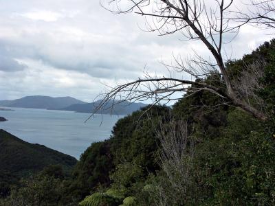 Queen Charlotte Track, Picton