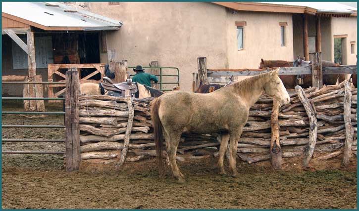 Tanque Verde Ranch