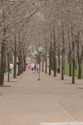 CRW_0549.jpg