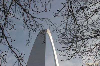 CRW_0600.jpg