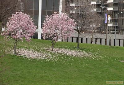CRW_0603.jpg