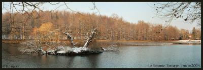 Ile flottante. Tervuren.