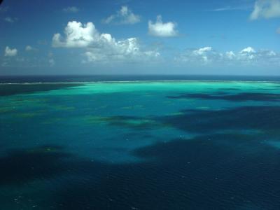 Great Barrier Reef #1