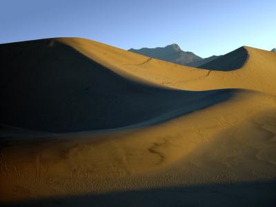 Death Valley - Dune #1