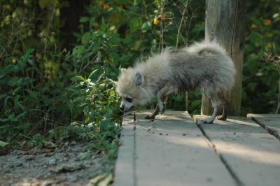 Sept4a_04_089.JPG