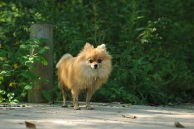 Sept4a_04_141.JPG