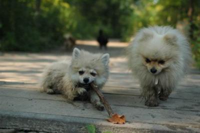 Sept4a_04_192.JPG