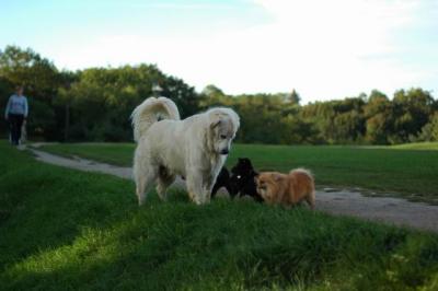 u42/billmcintyre/medium/34266196.Sept20_04_544.jpg