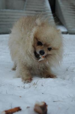Feb9_05_006.JPG