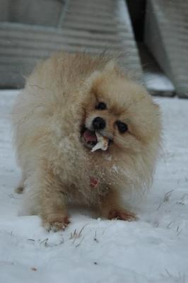 Feb9_05_008.JPG