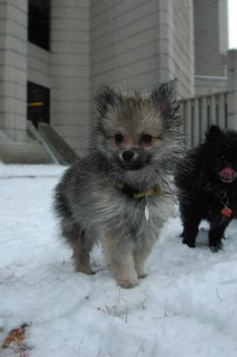 Feb9_05_010.JPG