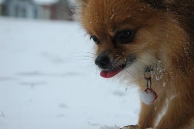 Feb9_05_014.JPG
