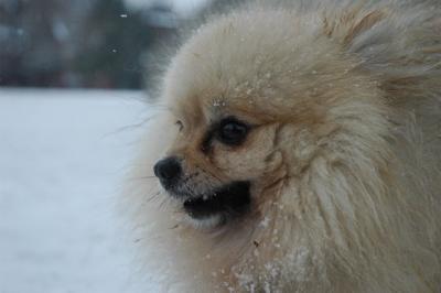 Feb9_05_018.JPG