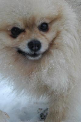 Feb9_05_021.JPG