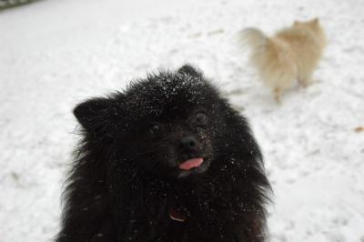 Feb9_05_029.JPG