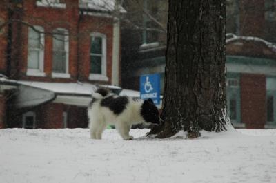 Feb9_05_030.JPG