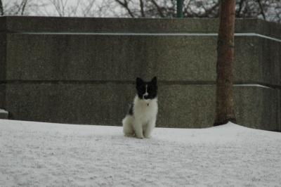 Feb9_05_031.JPG