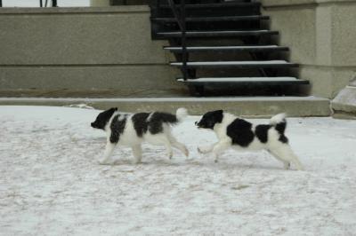 Feb9_05_032.JPG