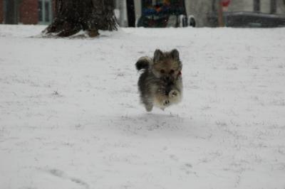 Feb9_05_036.JPG