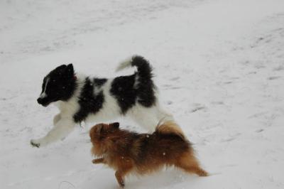 Feb9_05_038.JPG