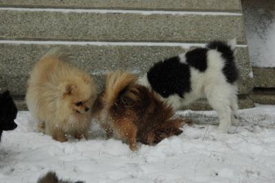 Feb9_05_040.JPG