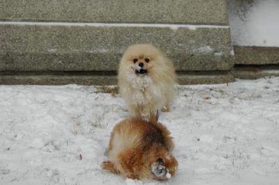 Feb9_05_043.JPG