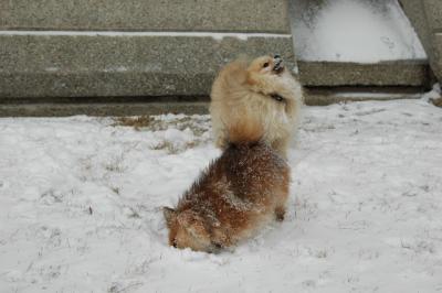 Feb9_05_046.JPG
