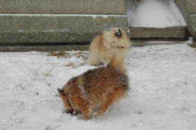 Feb9_05_047.JPG