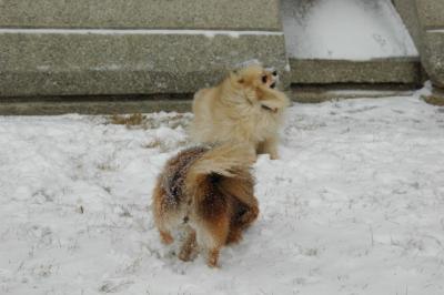 Feb9_05_048.JPG
