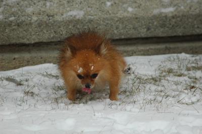 Feb9_05_050.JPG
