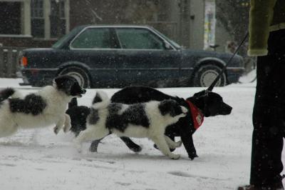 Feb9_05_051.JPG