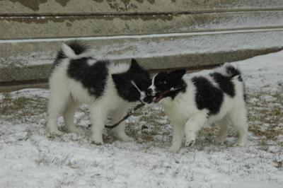 Feb9_05_054.JPG