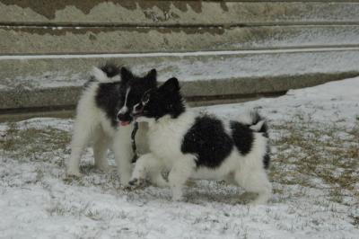 Feb9_05_055.JPG