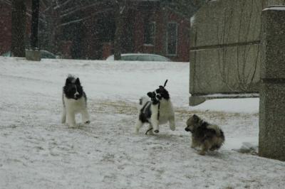 Feb9_05_056.JPG