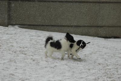 Feb9_05_057.JPG
