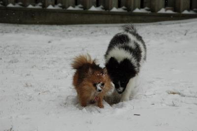 Feb9_05_065.JPG
