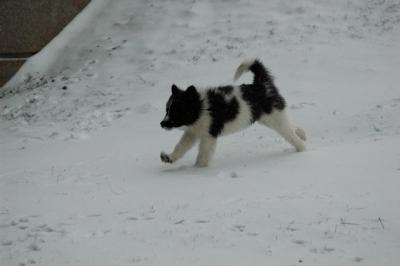 Feb9_05_067.JPG