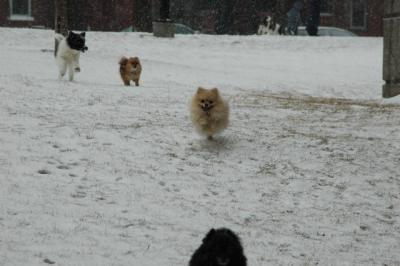 Feb9_05_072.JPG
