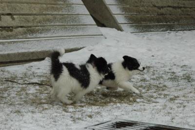 Feb9_05_081.JPG