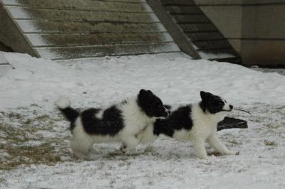 Feb9_05_082.JPG