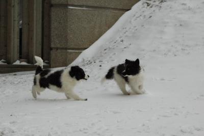 Feb9_05_083.JPG